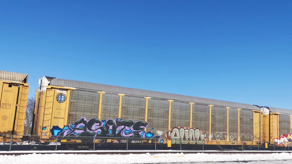 BNSF 24628 (Body) TTGX 989043 (Flat)