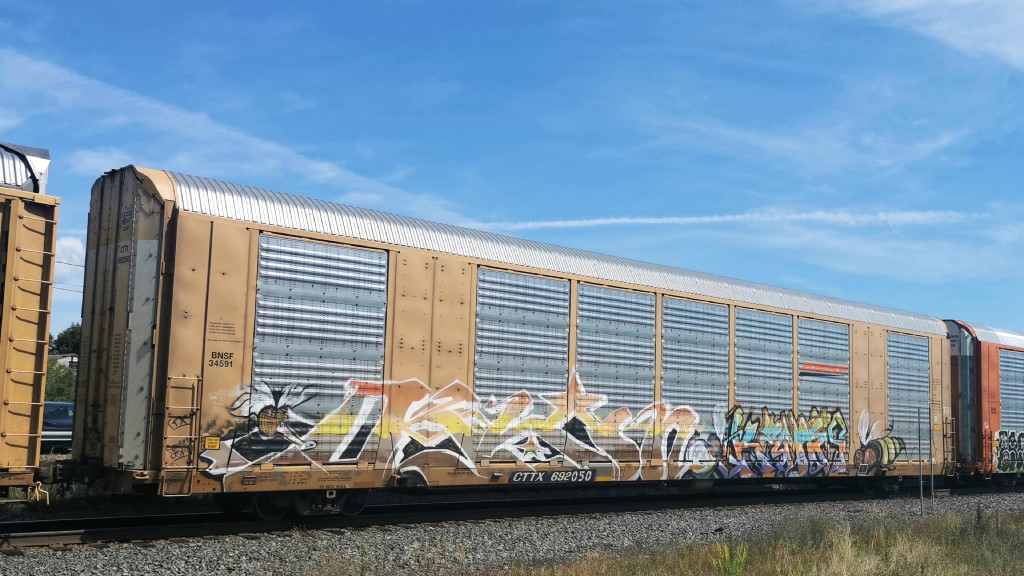 BNSF 34591 (Body) CTTX 692050 (Flat)