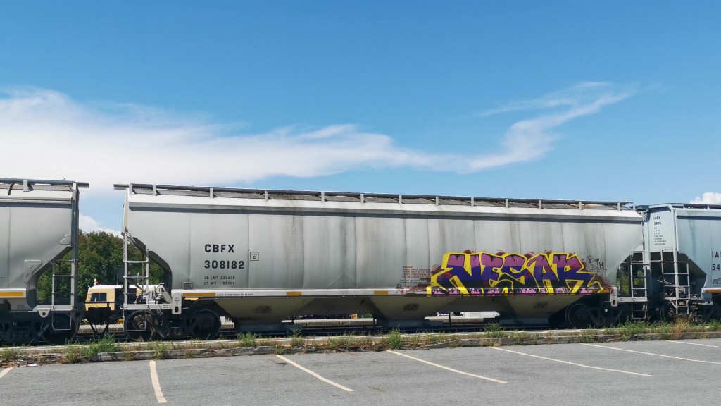 CBFX 308182