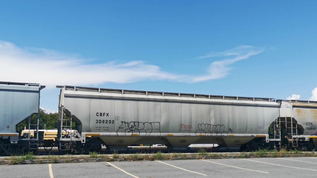 CBFX 308202