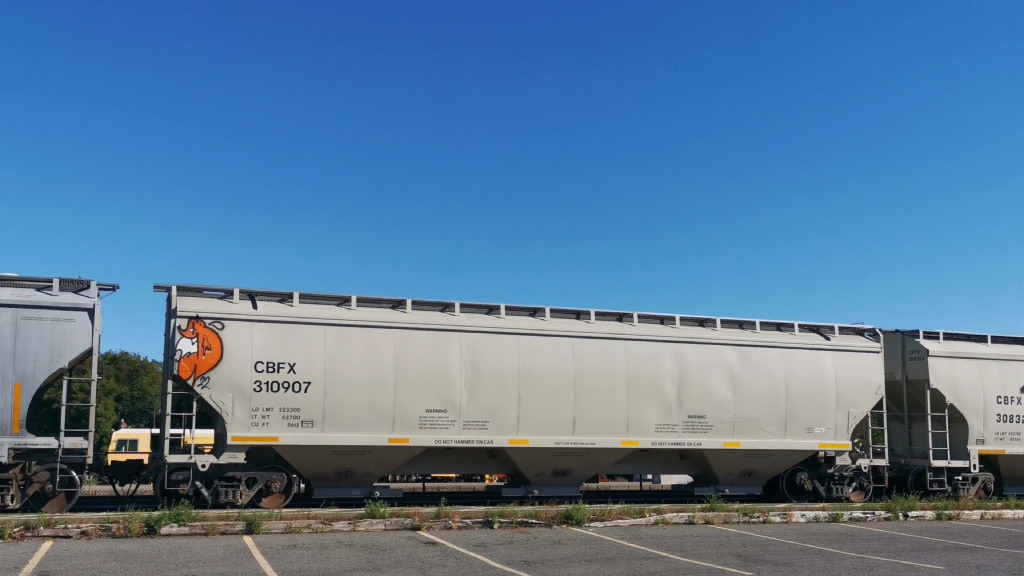 CBFX 310907