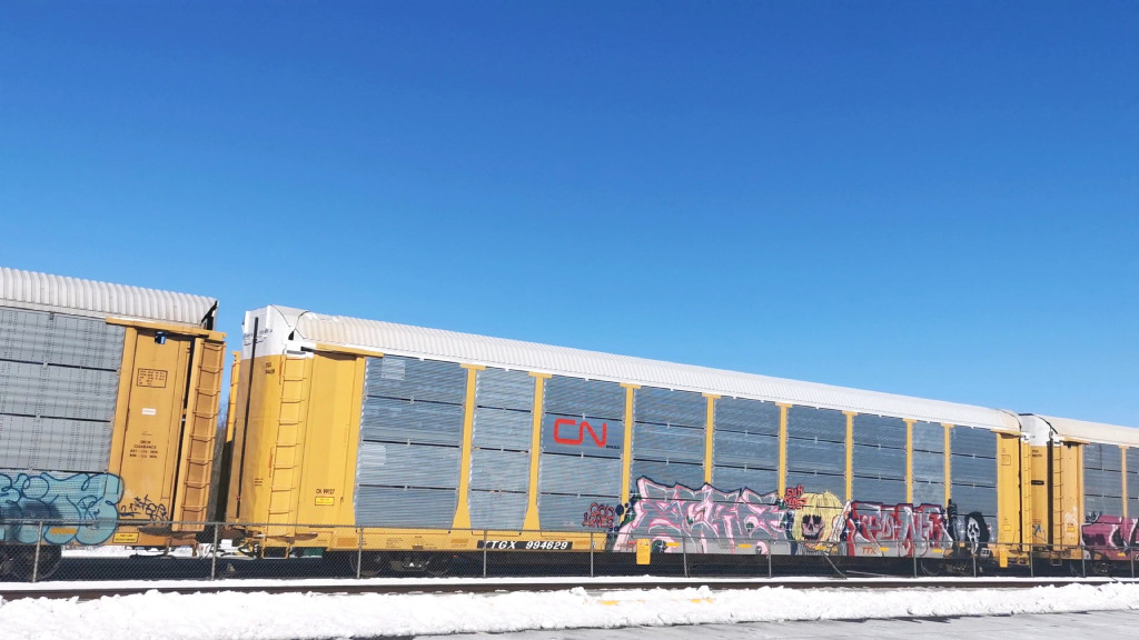 CN 99127 (Body) TTGX 994629 (Flat)