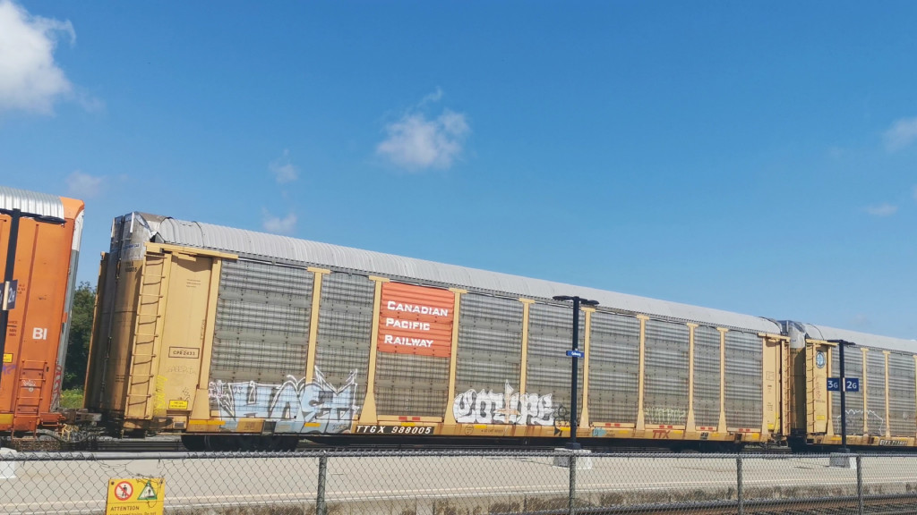 CPR 2433 (Body) TTGX 988005 (Flat)