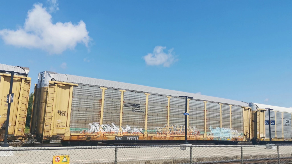 NS 24268 (Body) TTGX 985788 (Flat)