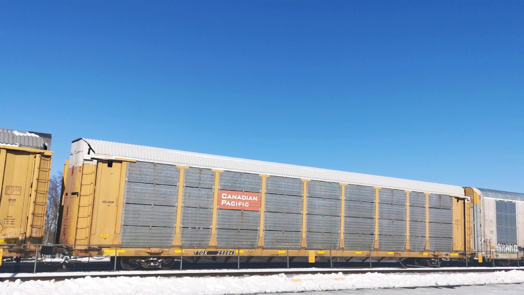 SOO 40209 (Body) TTGX 255843 (Flat)