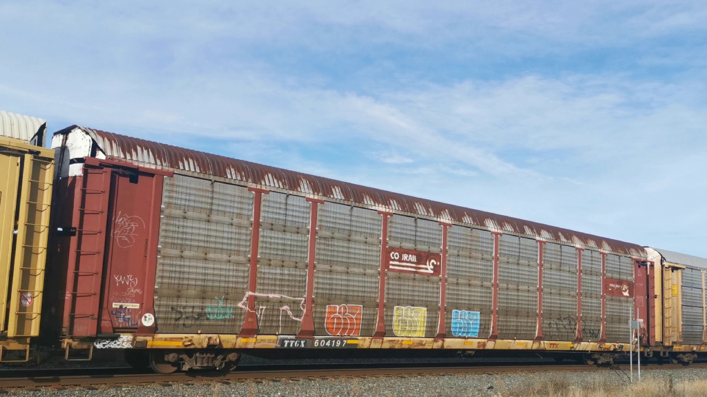 TTGX 604197