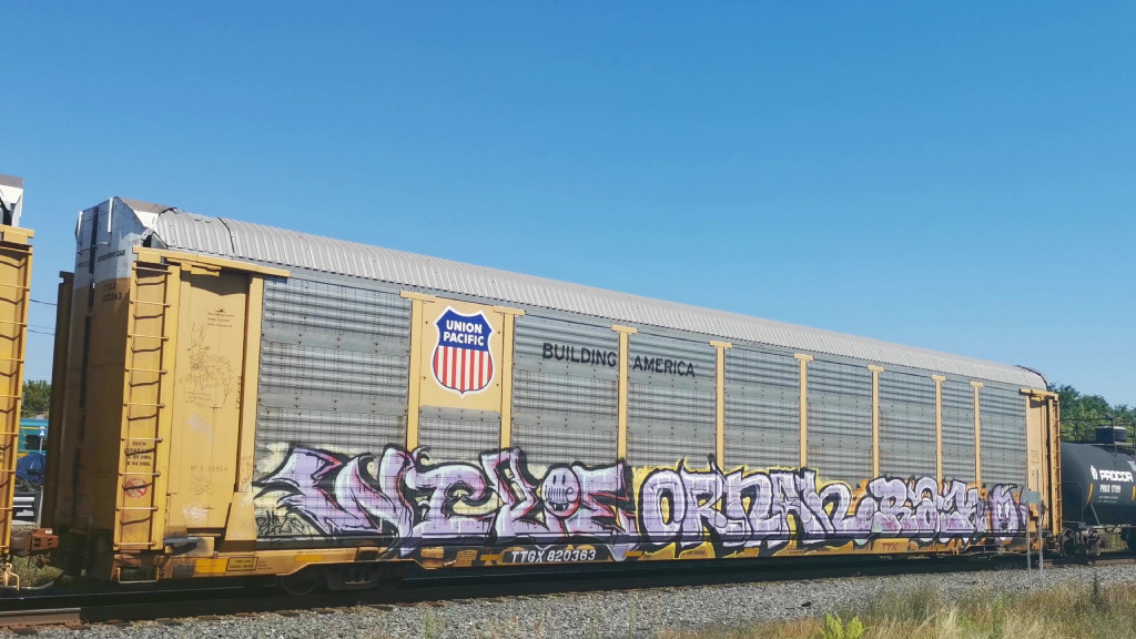 UP L94964 (Body) TTGX 820363 (Flat)