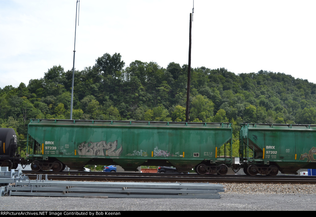 BRIX 97239