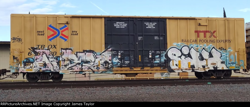 TBOX 667209