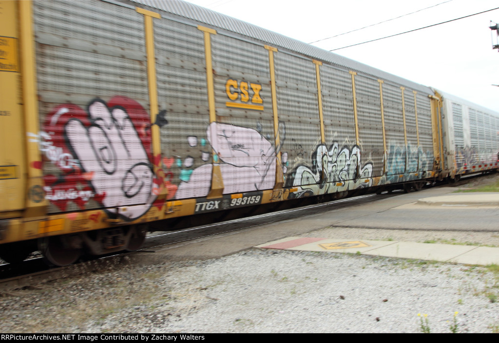 TTGX 993159