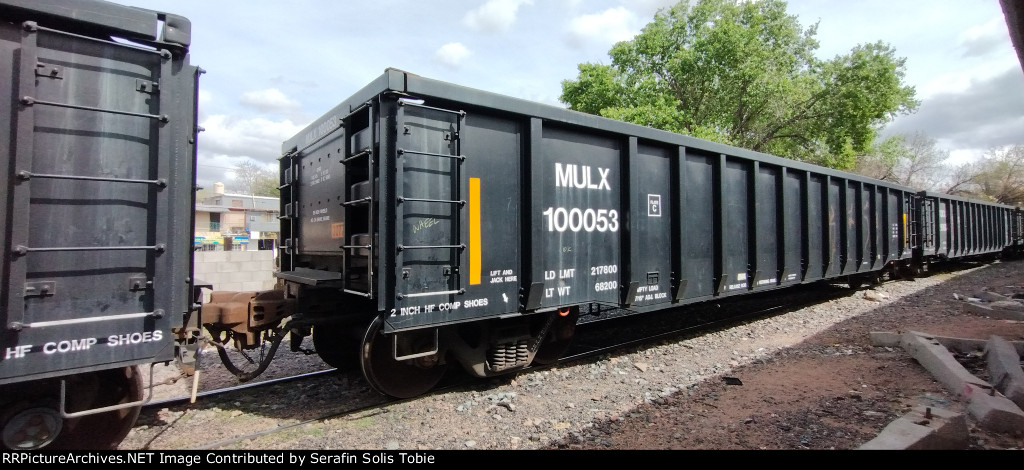 MULX 100053