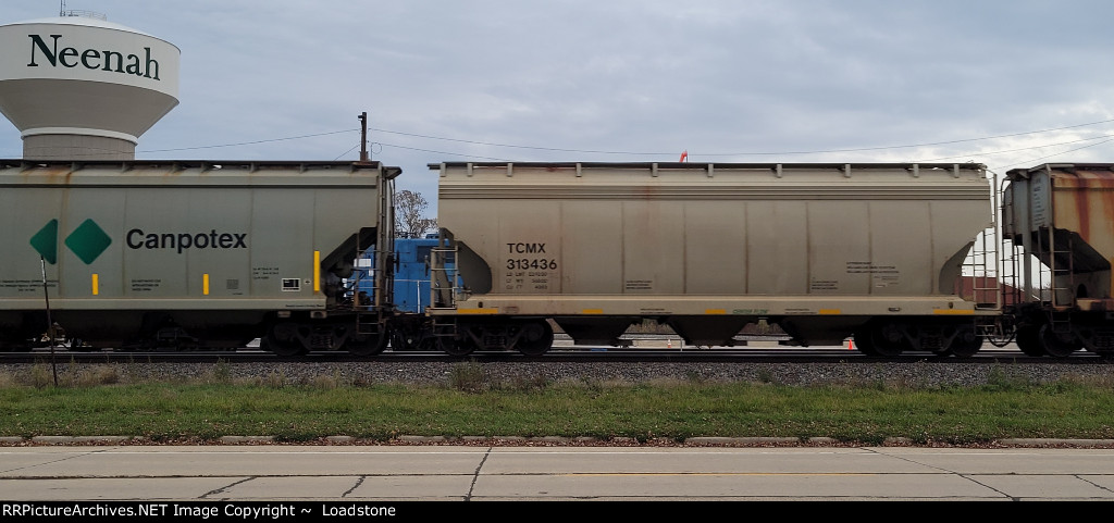 TCMX 313436