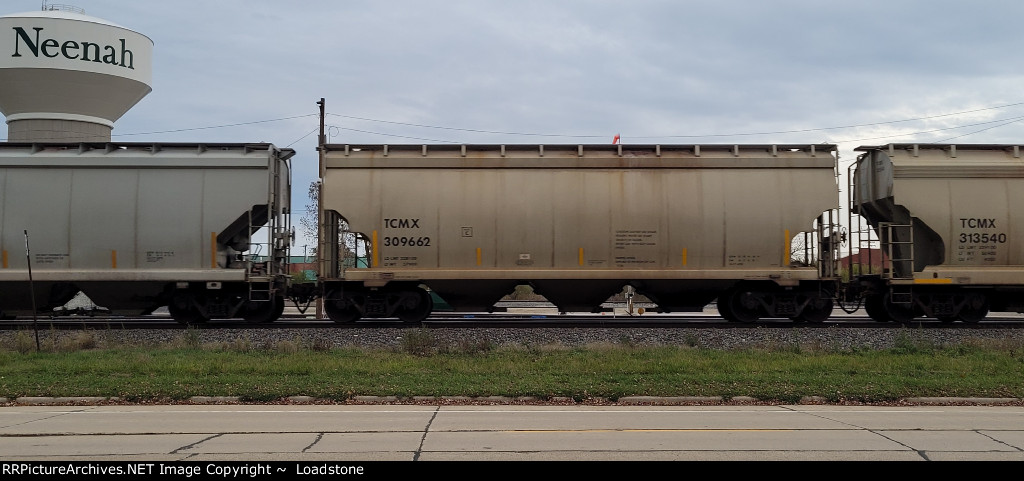 TCMX 309662