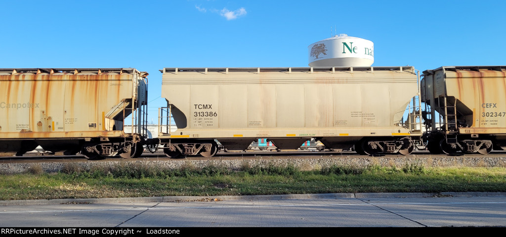TCMX 313386