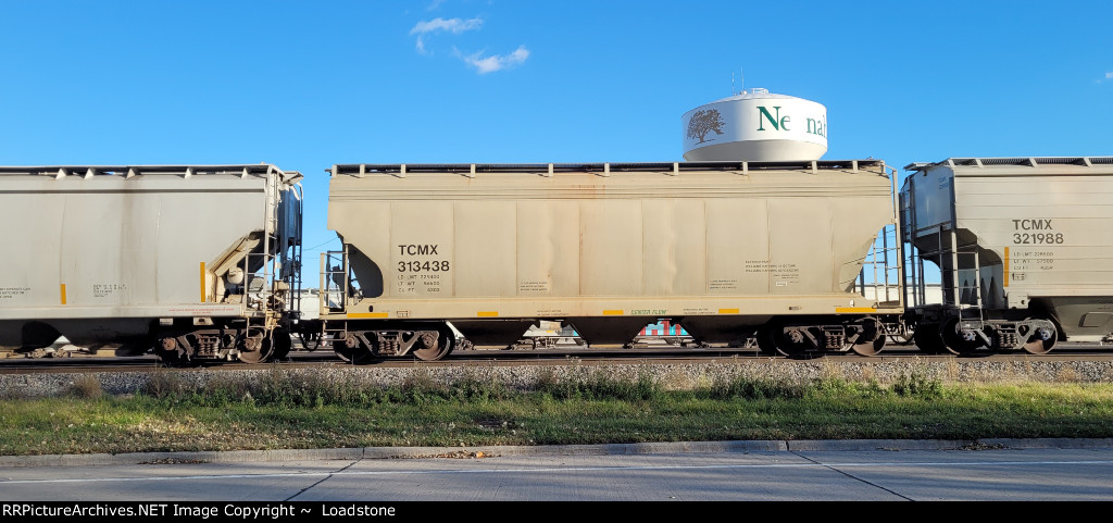 TCMX 313438