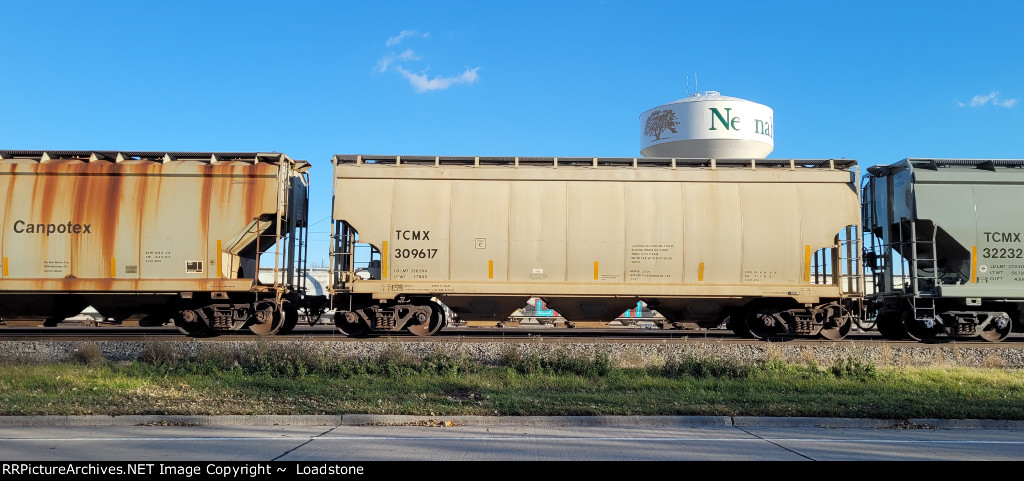 TCMX 309617