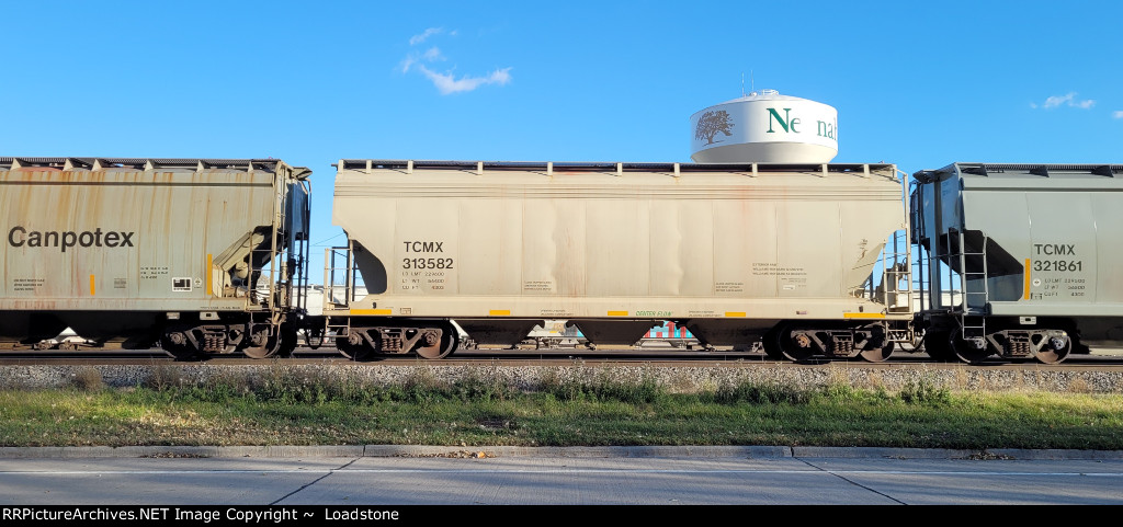TCMX 313582