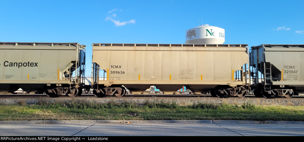 TCMX 309636