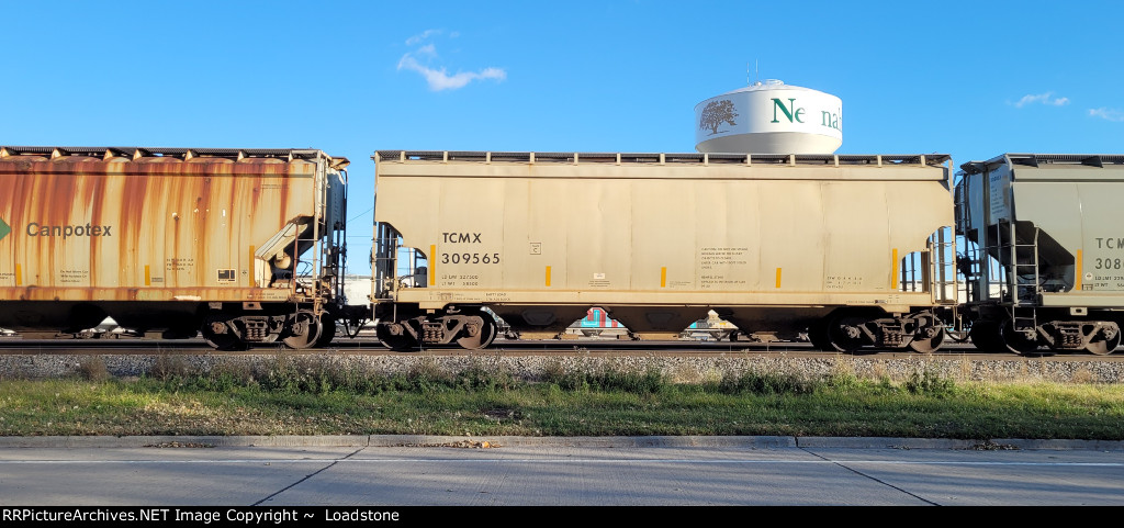 TCMX 309565