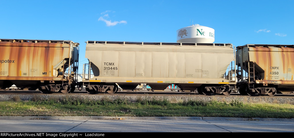 TCMX 313445