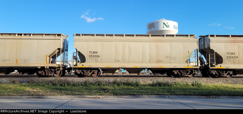 TCMX 313326