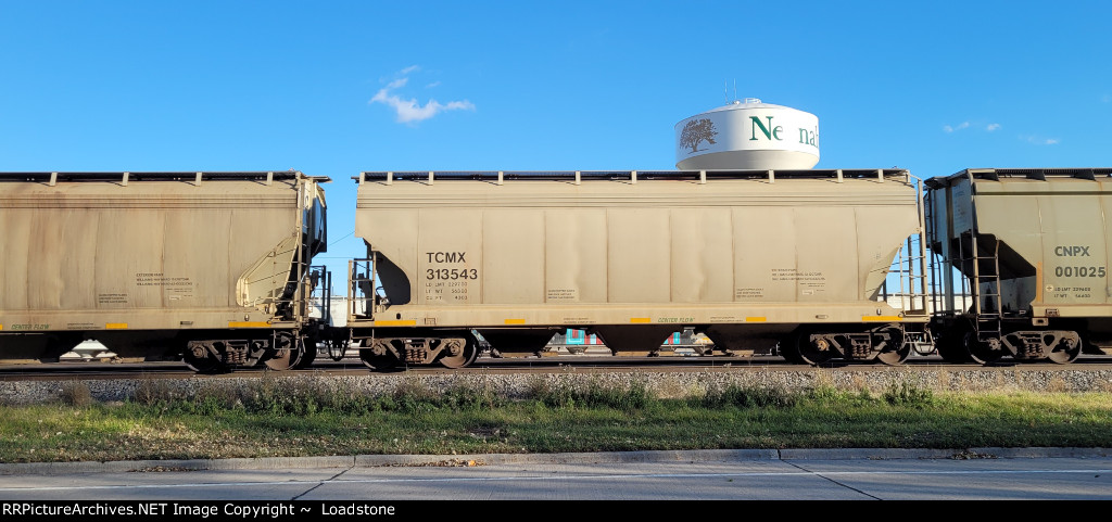TCMX 313543