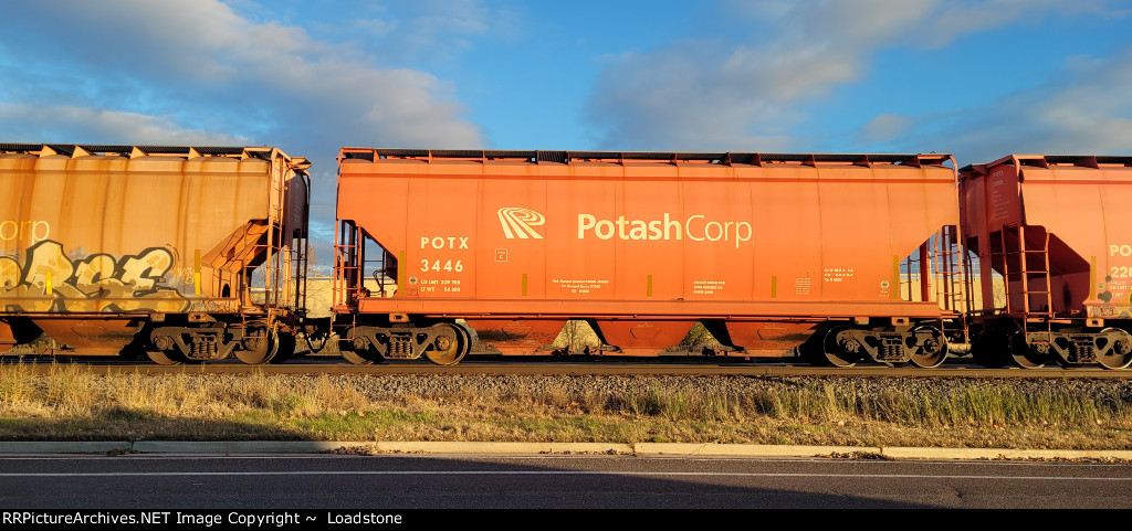 POTX 3446