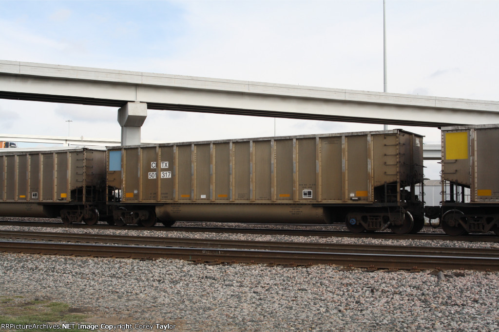 CITX 501317