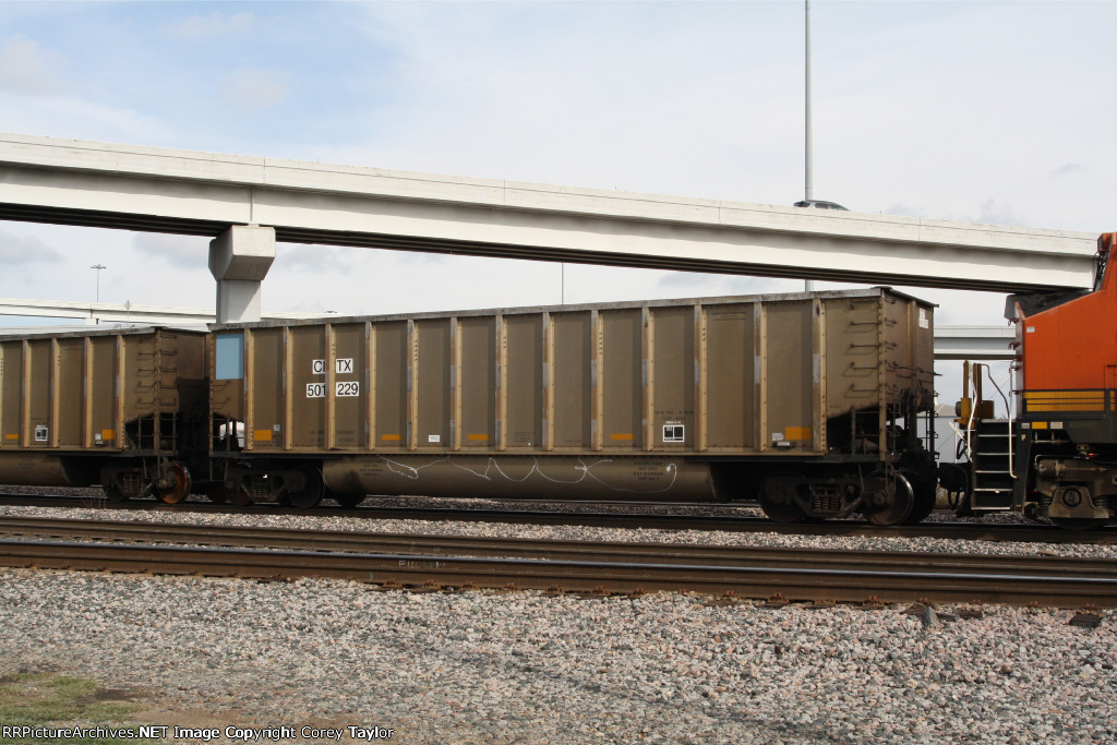 CITX 501229