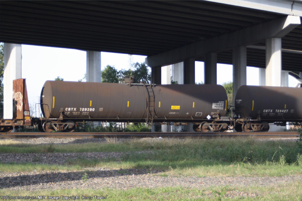 CBTX 729390