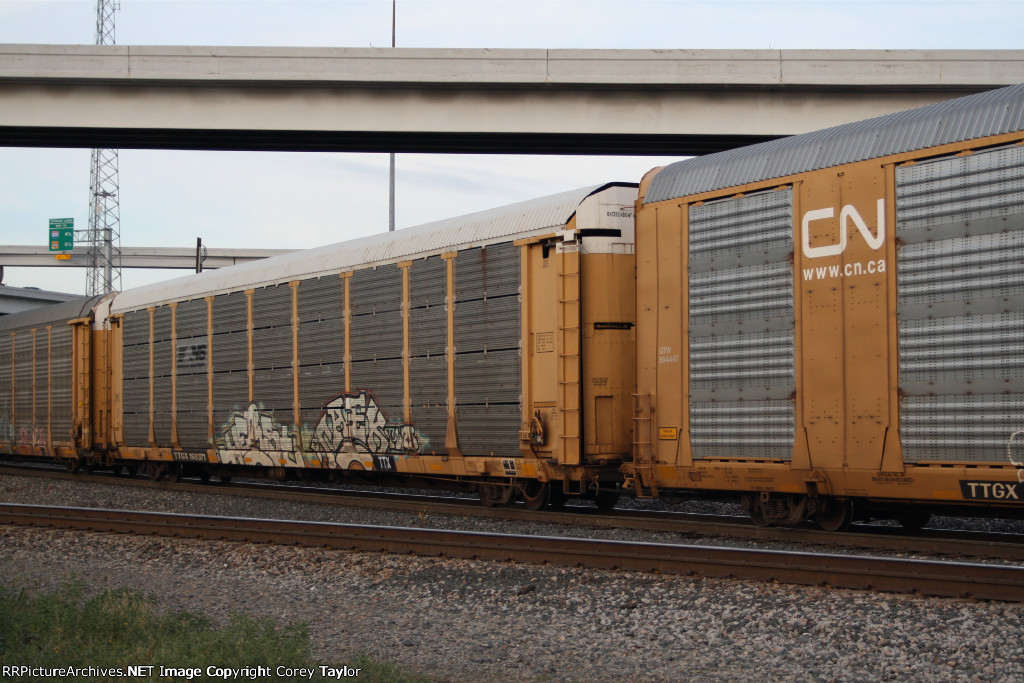 TTGX 160371