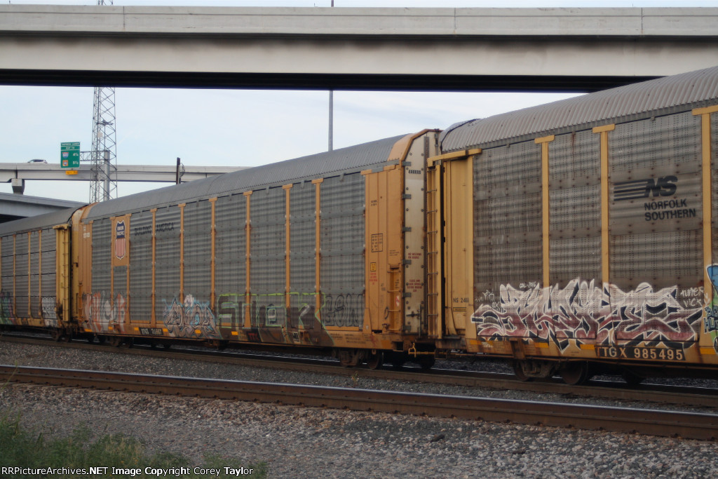 TTGX 715667