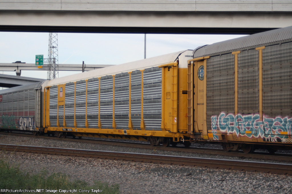 TTGX 963704