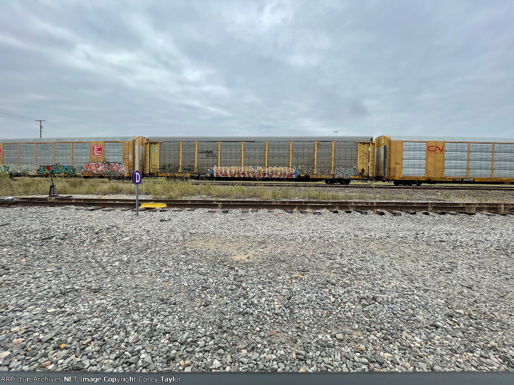 TTGX 992189