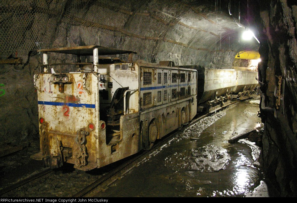 Loco #2, a 36" gauge Brookvile BDC-15UP 15 tonner 