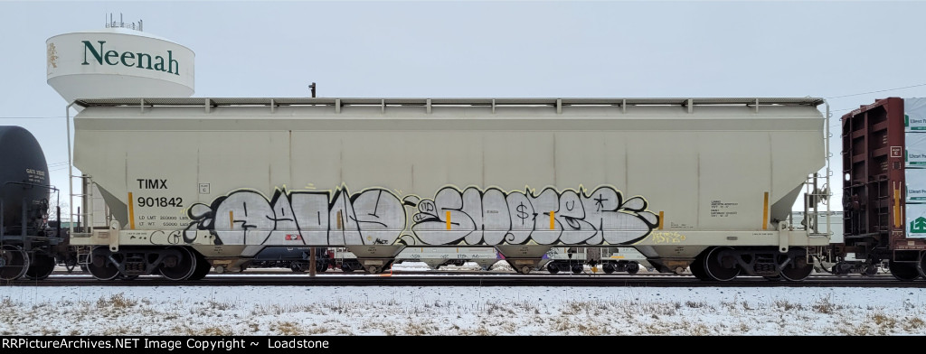TIMX 901842