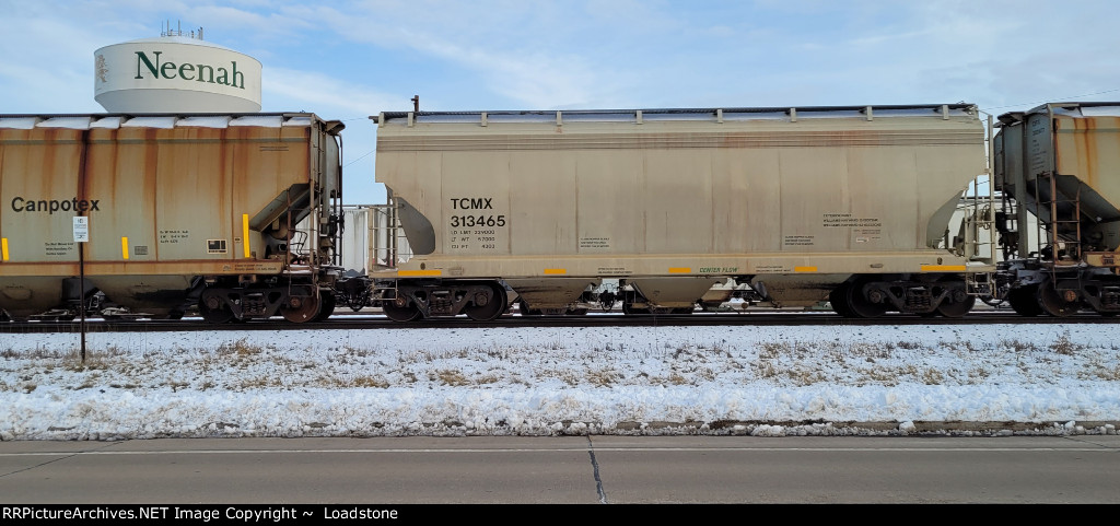 TCMX 313465