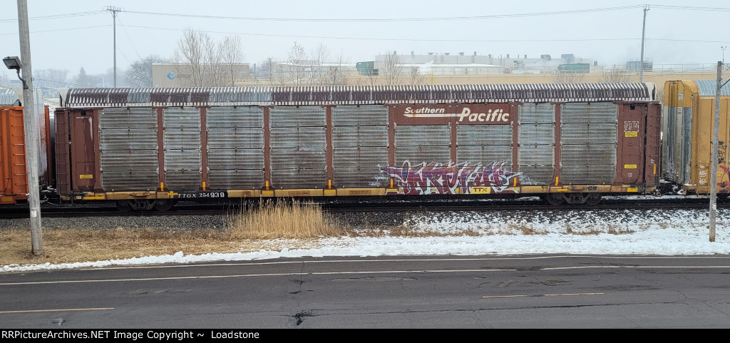 TTGX 254939
