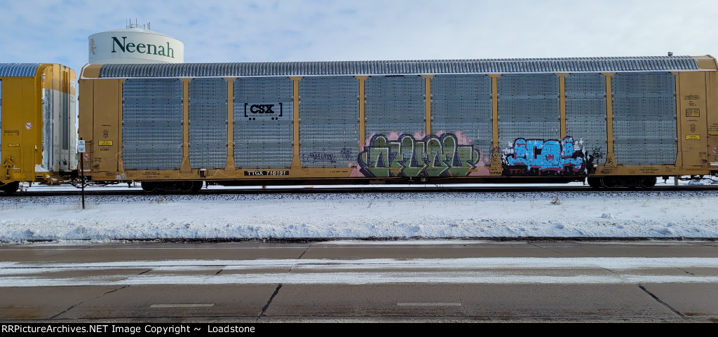 TTGX 716191