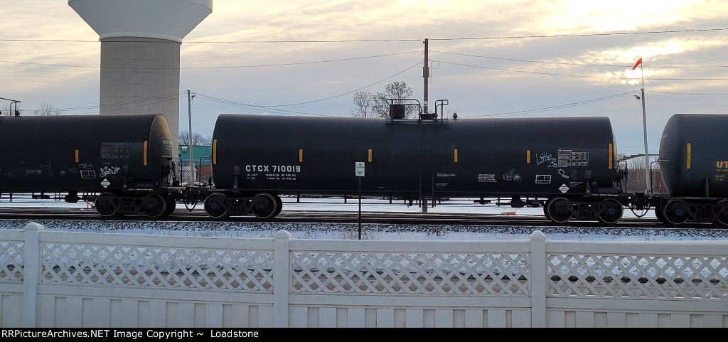 CTCX 710019
