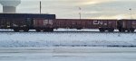 CN 136875