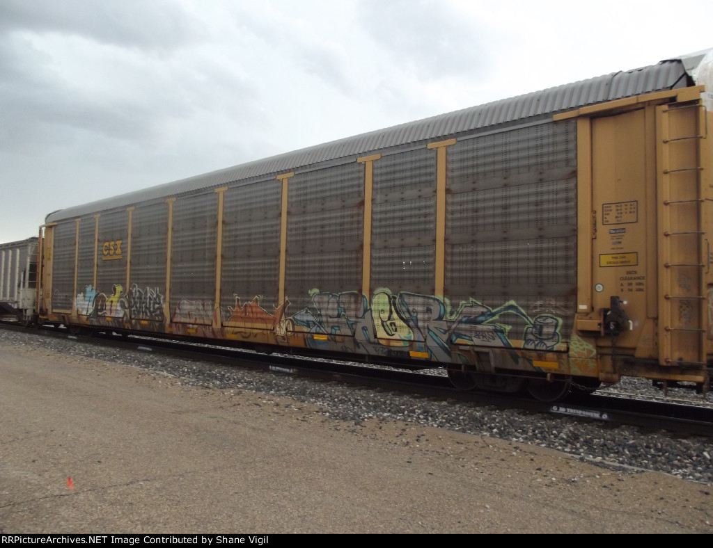 TTGX 986351