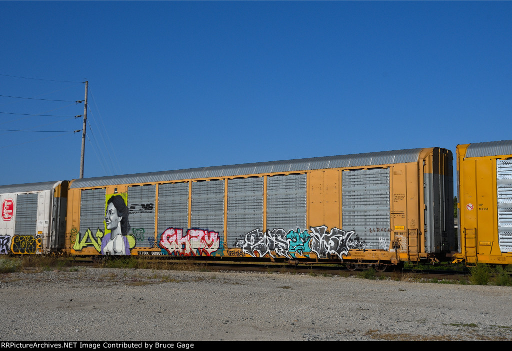 TTGX 698071