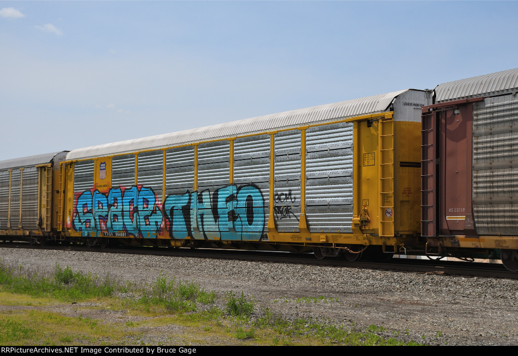 TTGX 964881
