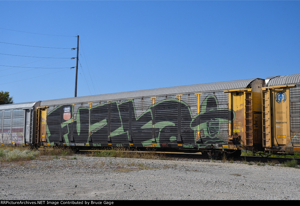 TTGX 983659