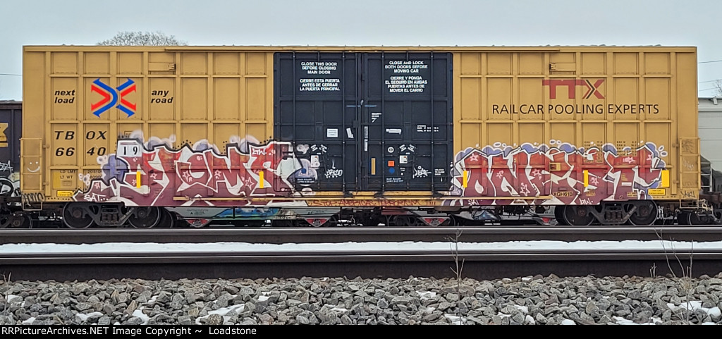 TBOX 664019