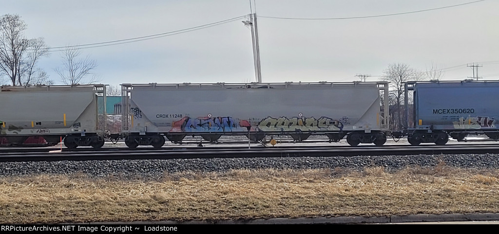 CRDX 11248