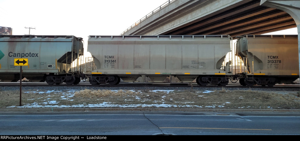 TCMX 313361