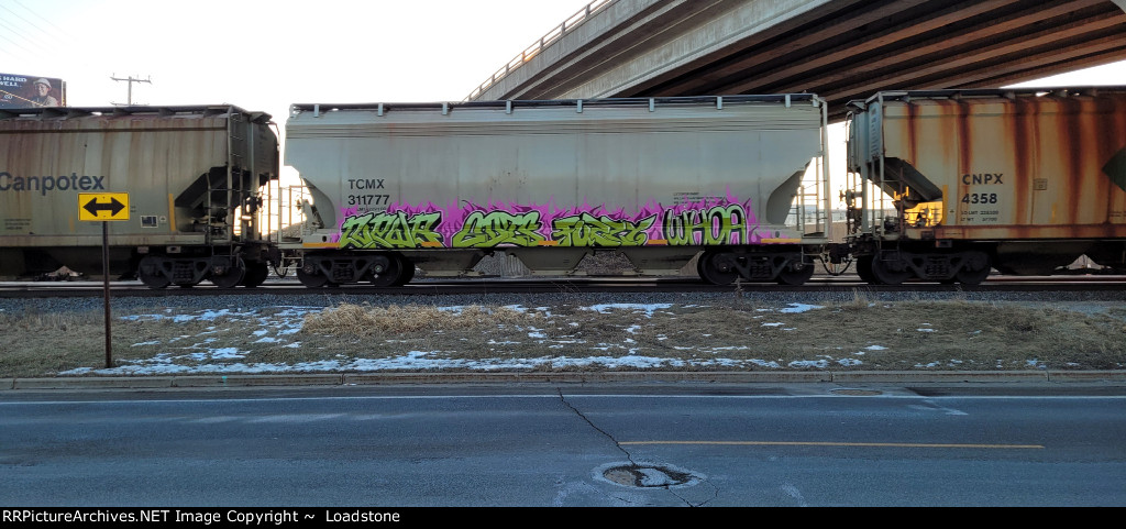 TCMX 311777