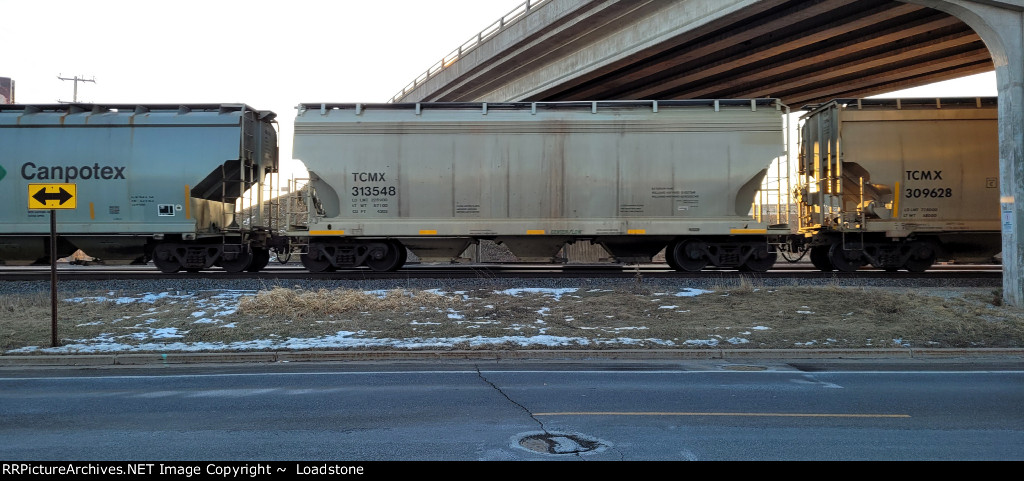 TCMX 313548